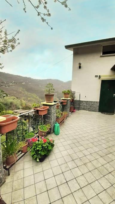 Casa Di Arya Codice Citra Lt-0043 Lägenhet Vescina Exteriör bild